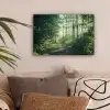 Bos - Pad - Zon - Bomen - Groen - Natuur canvas 2cm klein -sfeer1