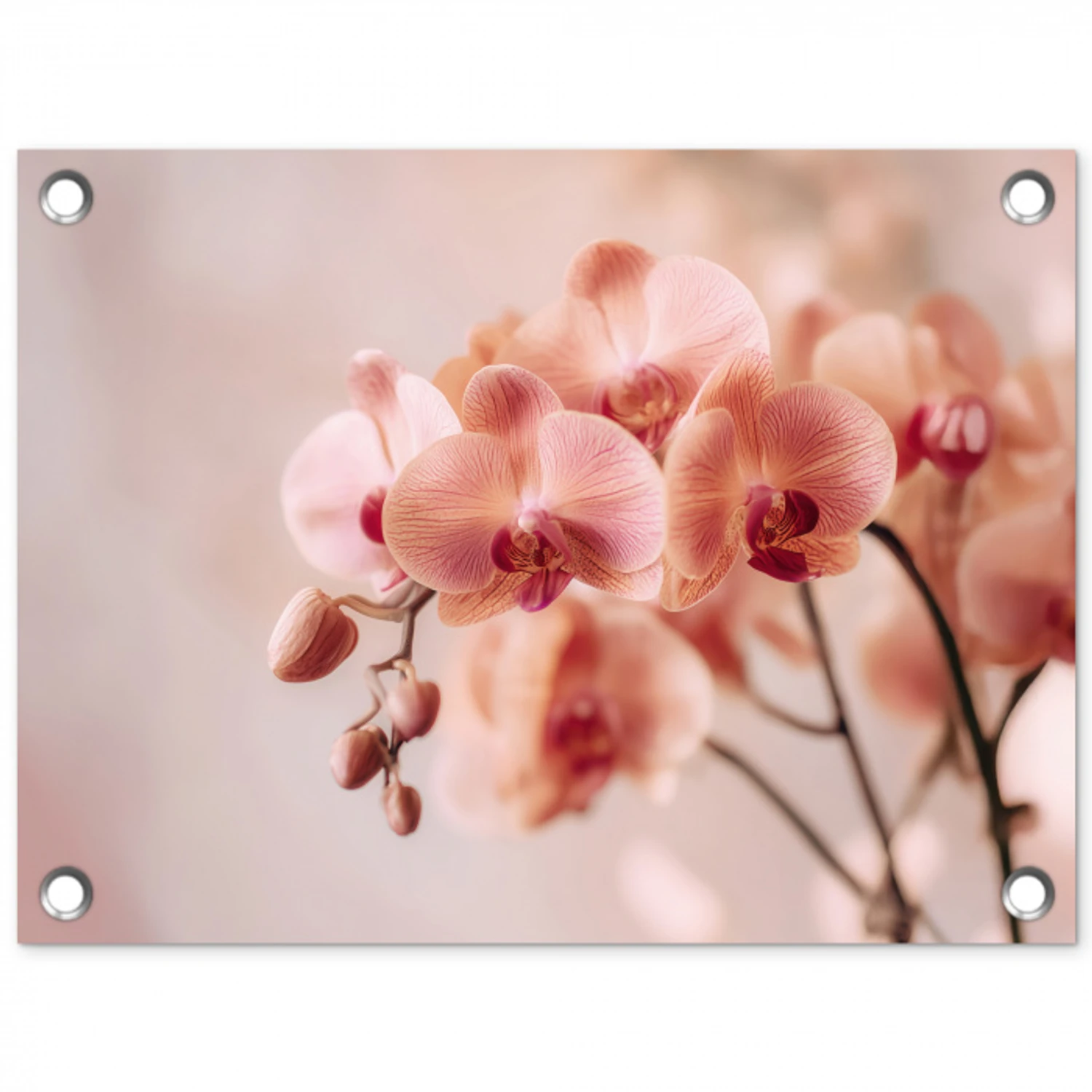 Orchidee - Bloemen - Roze - Bloemblaadjes tuinposter los doek klein -3d