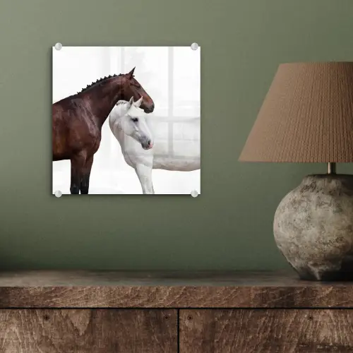 Paard - Modern - Balans plexiglas 5mm klein -sfeer3