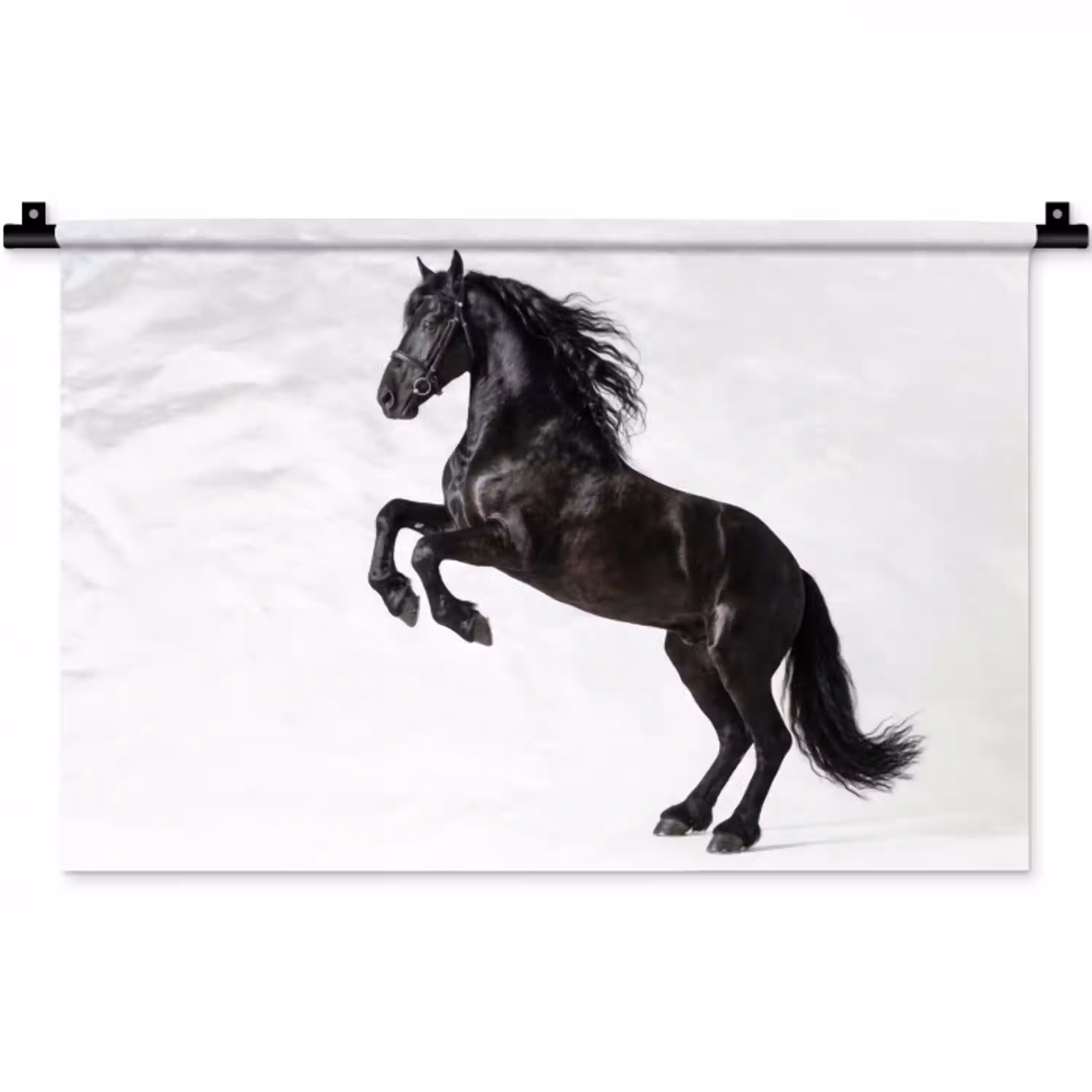 Zwart - Paard - Portret Wandkleed katoen klein -zz3d