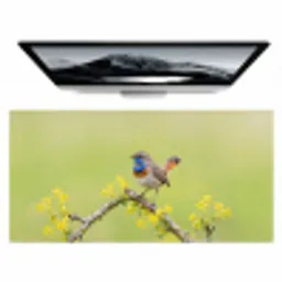 Vogel - Tak - Natuur - Kleurrijk Muismat XXL klein -zzz3d