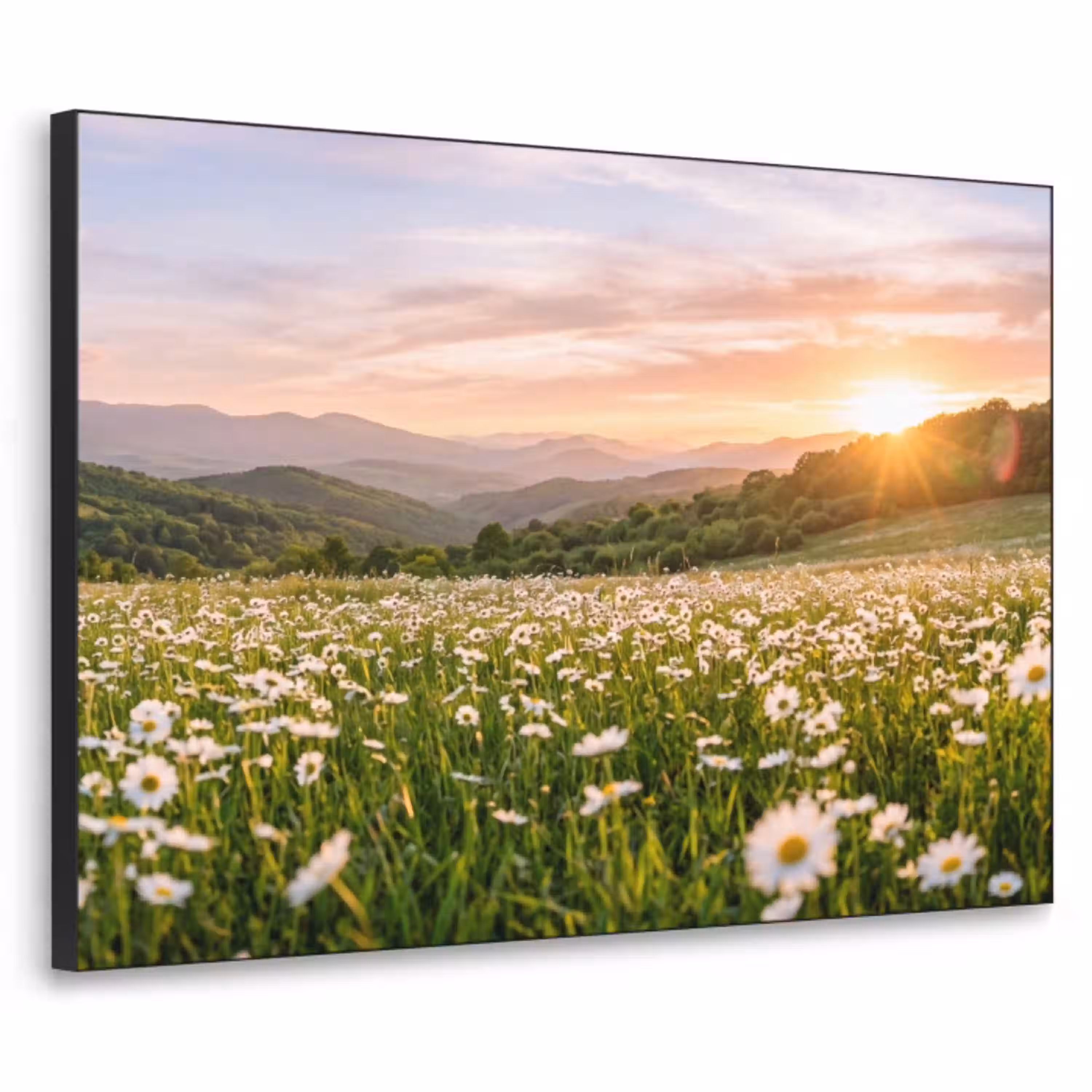 Madelief - Veld - Heuvels - Groen Textielframe zwart klein -3d