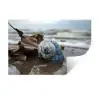 Schelp - Strand - Blauw - Zee Muursticker klein -3d
