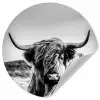Koe - Schotse hooglander - Zwart - Wit - Dier - Natuur - Wild Wandcirkel behangsticker klein -3d