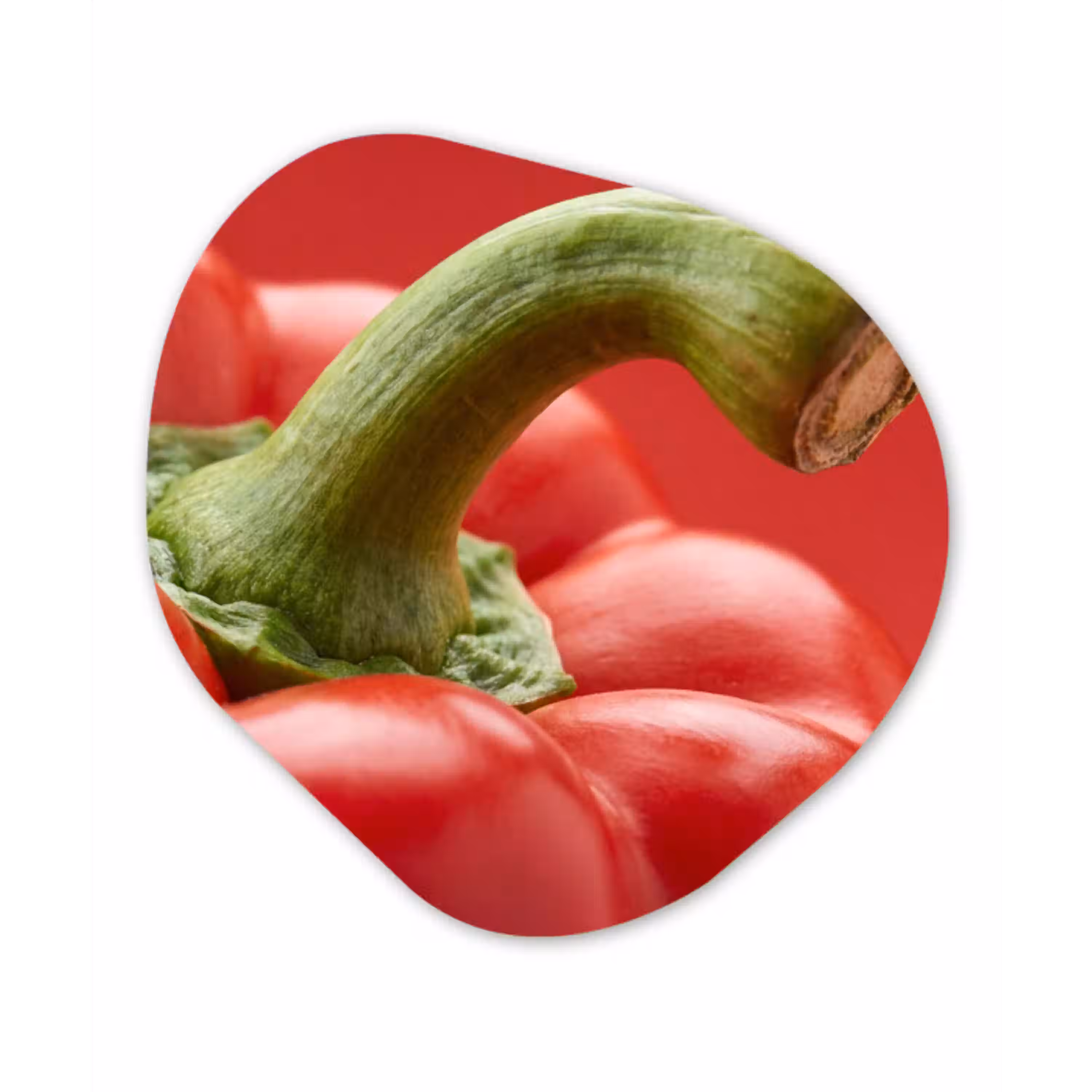 Eten - Paprika - Rood Wandcirkel Organisch Forex 3mm klein -3d