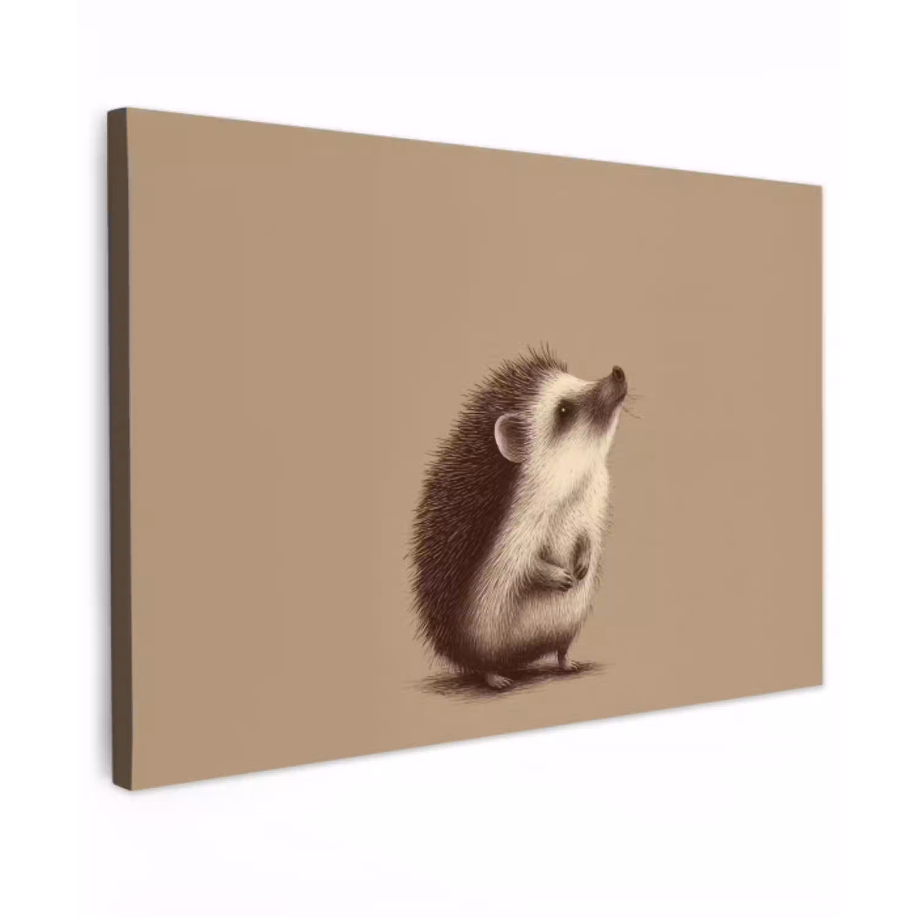 Egel - Snuitje - Bruin - Stekels canvas 2cm klein -z3d