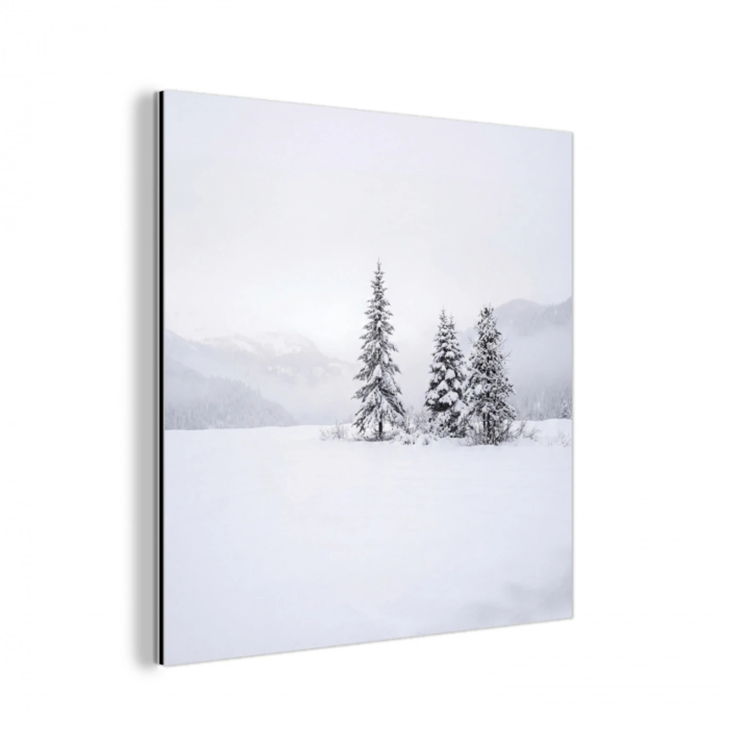 Fijnsparren - Sneeuw - Winter - Landschap - Stilte aluminium wit klein -3d