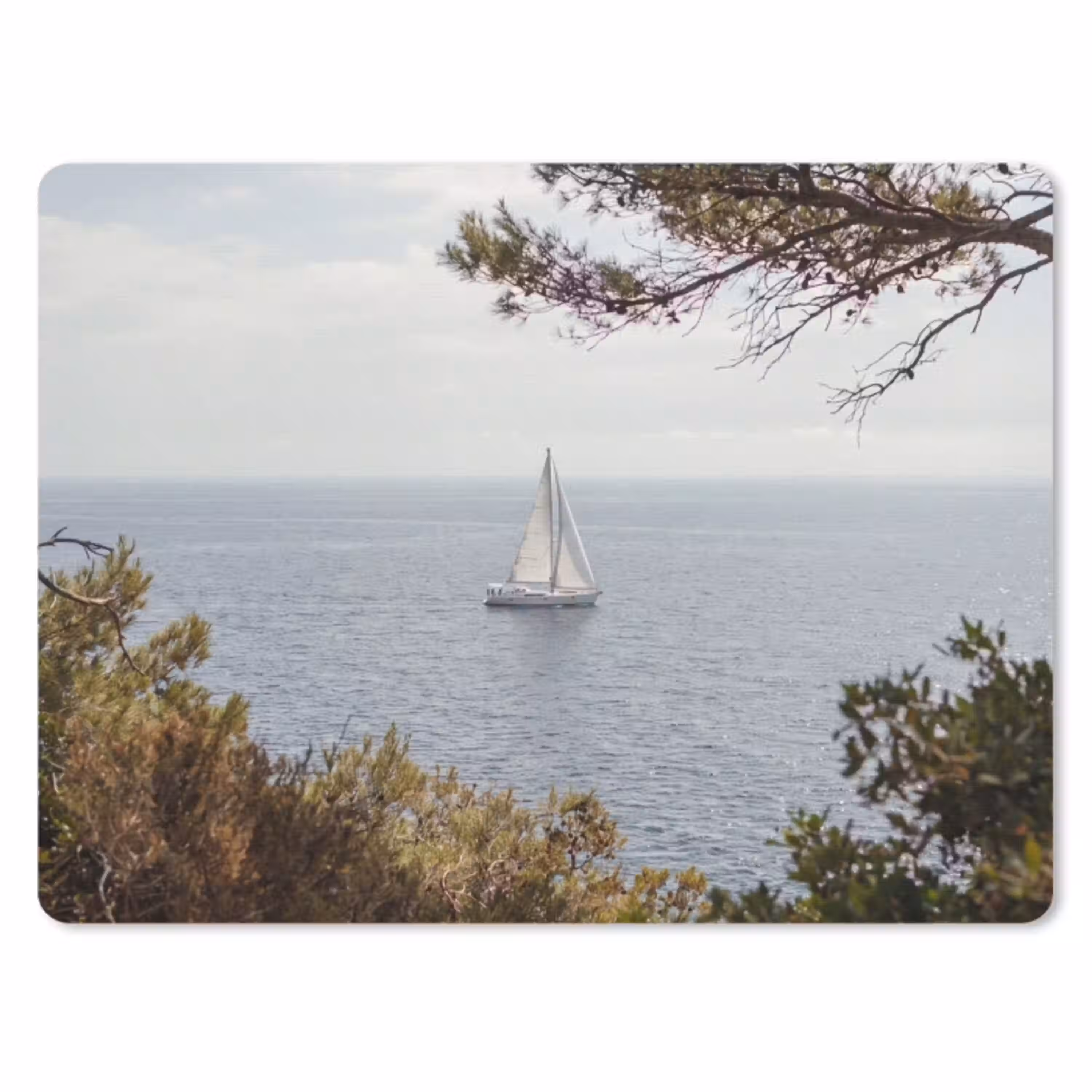 Zeilboot - bomen - water muismat rubber klein -3d