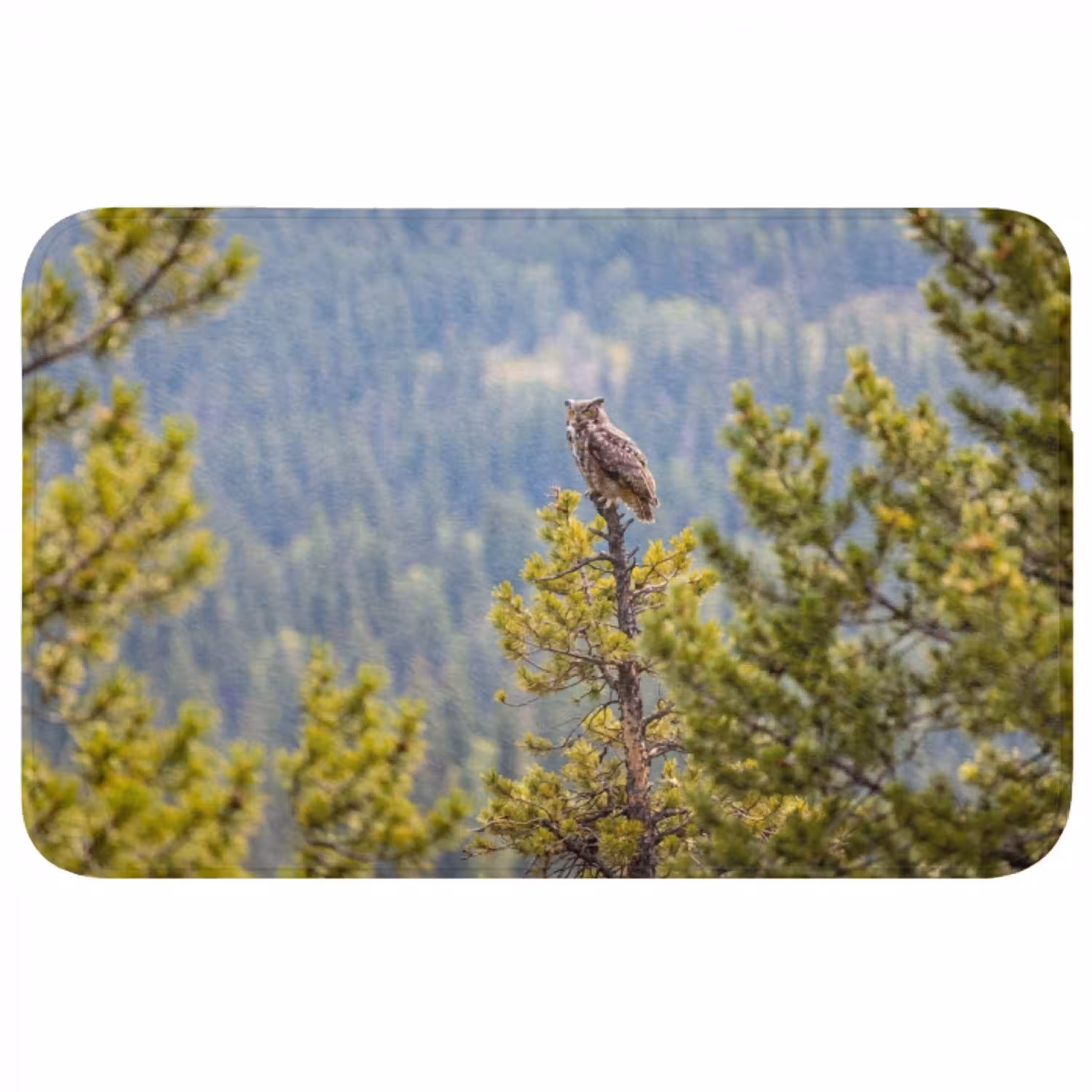 Uil - Oehoe - Bomen - Natuur Badmat middel -3d