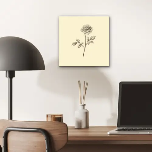 Illustratie - Zwart - Roos aluminium wit klein -sfeer5