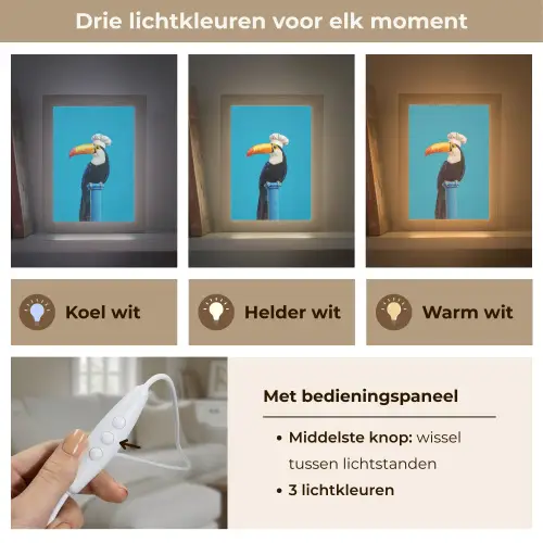 Tucan - Sokkel - Vogel - Koksmuts Light Box met kabel (Tafellamp) klein -USP_lichtkleurNL