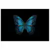 Vlinder - Blauw - Contrast poster papier klein -3d