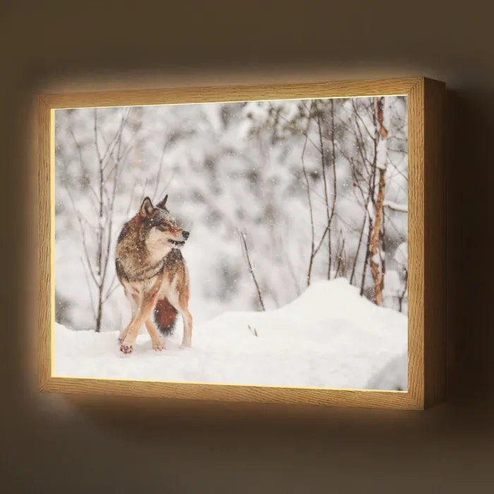 Wolf - Winter - Sneeuw - Natuur - Dieren Light Box met batterij (Wandlamp) middel -z3d_website
