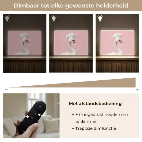 Zwaan - Koksmuts - Mooi - Klassiek Light Box met batterij (Wandlamp) middel -USP_dimbaarNL