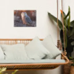 Sneeuwuil - Wit - Tak - Sneeuw tuinposter los doek klein -sfeer7