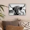 Schotse hooglander - Close up - Horens - Vacht - Zwart Wit canvas 2cm klein -sfeer1