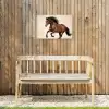 Paard - Galop - Energie Tuinposter op houten frame 2 cm dik klein -sfeer4
