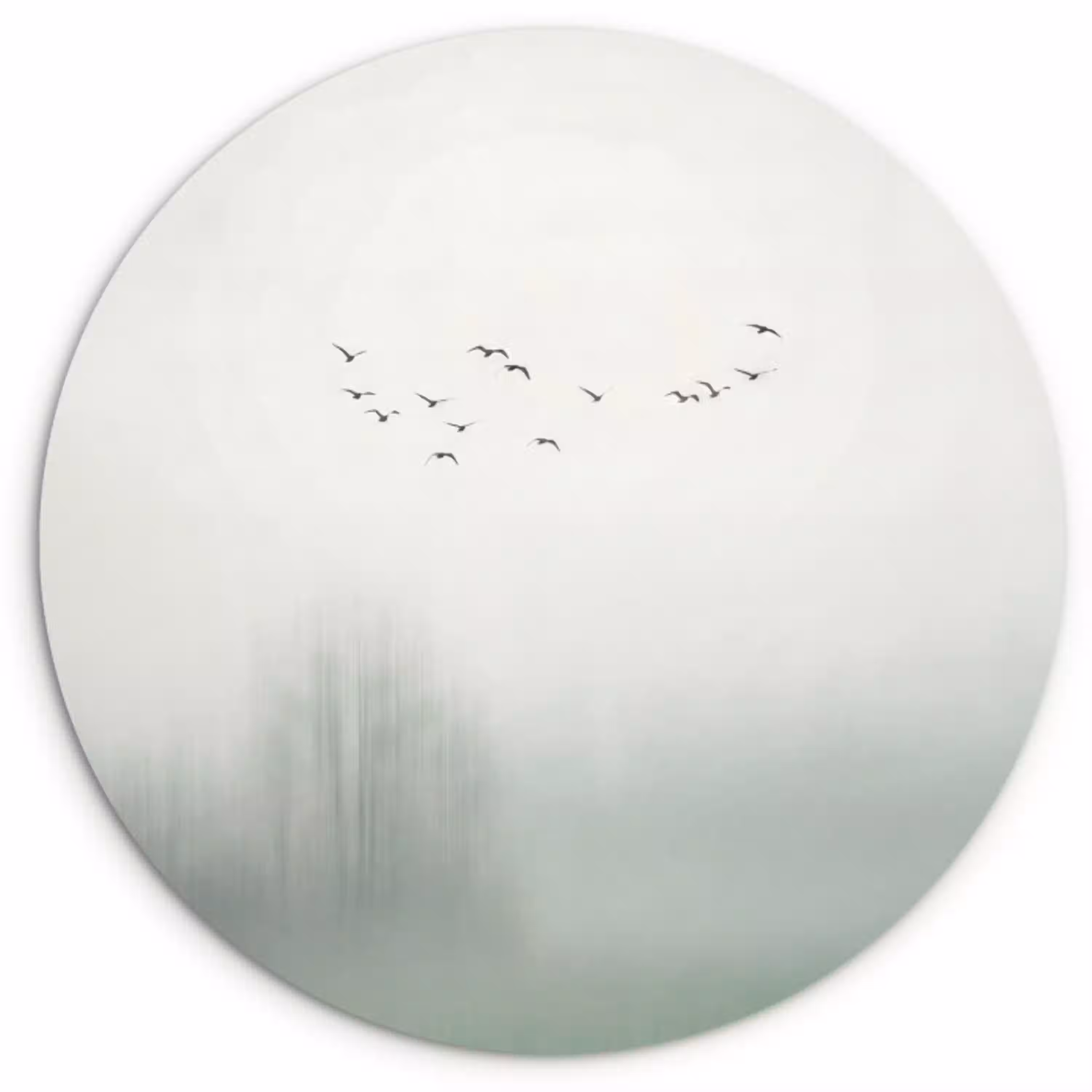 Vogel - Vlucht - Natuur - Minimalistisch Wandcirkel kunststof plaat 5mm dik klein -3d