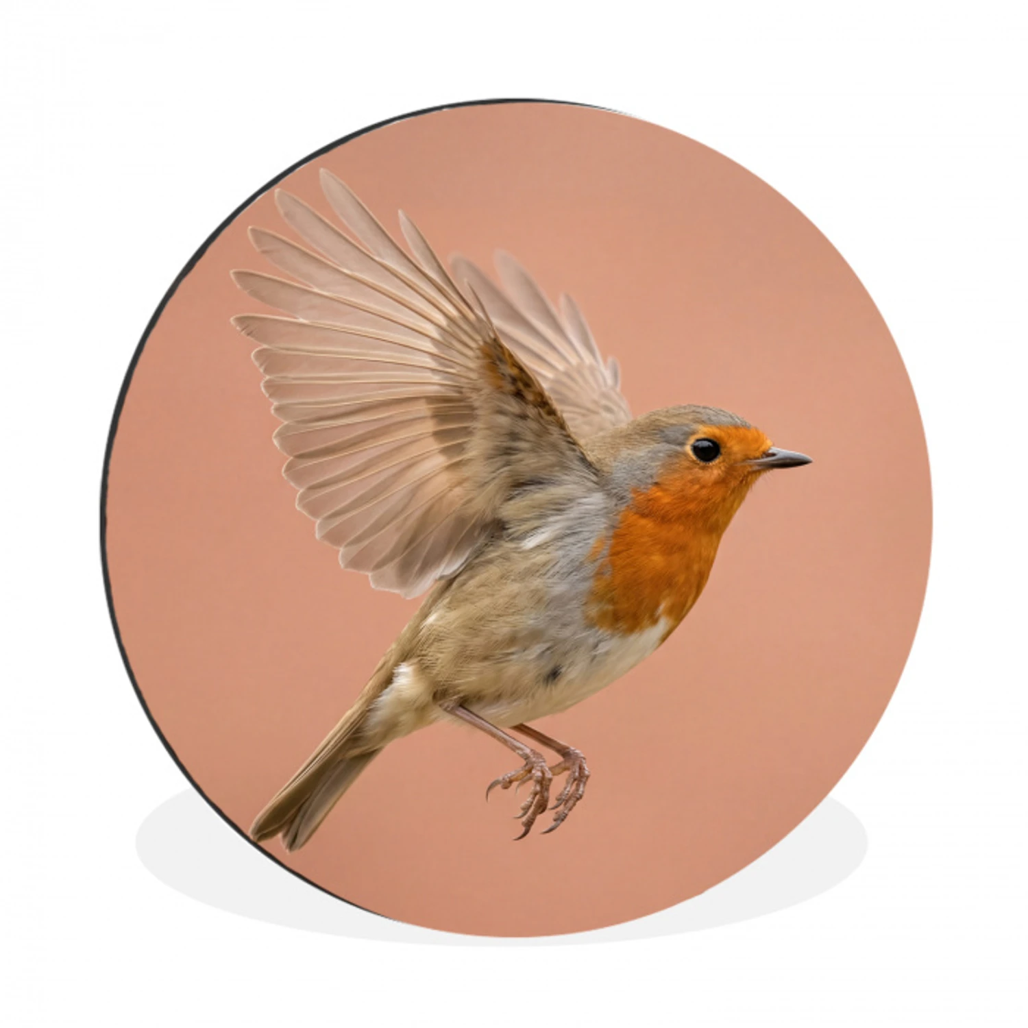 Roodborst - Natuur - Roze Wandcirkel aluminium klein -3d