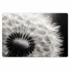 Paardenbloem - Zwart - Wit Placemat vinyl groot -zzsfeer1_Kitchenyeah-website