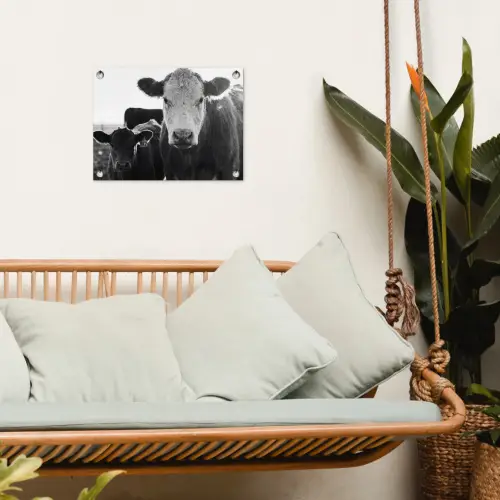 Koeien - Zwart - Wit tuinposter los doek klein -sfeer7