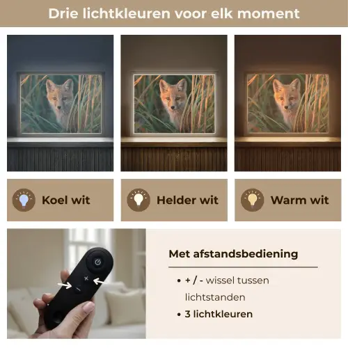 Vos - Oranje - Gras Light Box met batterij (Wandlamp) middel -USP_lichtkleurNL