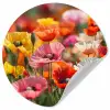 Bloemenveld - Klaprozen - Kleurrijk Wandcirkel behangsticker klein -3d