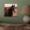 Paard - Zonsondergang - Bruin aluminium wit klein -sfeer2