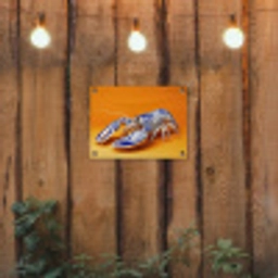 Kreeft - Delftsblauw - Schild - Stoer - Oranje tuinposter los doek klein -sfeer1