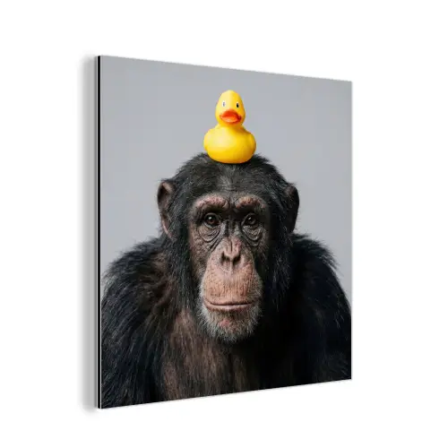 Chimpansee - Badeend - Grijs aluminium wit klein -3d