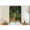 Hert - Gewei - Gras - Natuur - Dieren - Groen fotobehang vinyl groot -bed