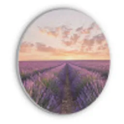 Landschap - Lavendelveld - Paars Akoestische PET Vilt - Rond klein -3d
