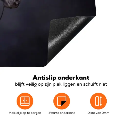 Portret - Paard - Donker Inductie beschermer vinyl 3mm klein -zzzzzzz-td-onderkant