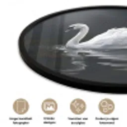 Zwaan - Water - Natuur - Realistisch - Wit Fotolijst rond zonder passe partout klein -closeup_NL