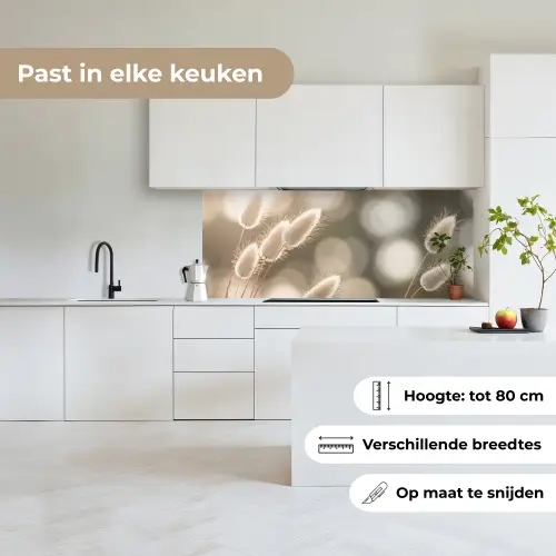Hazestaartgras - Wit - Zonlicht keuken achterwand 2 middel -sfeer4_NL