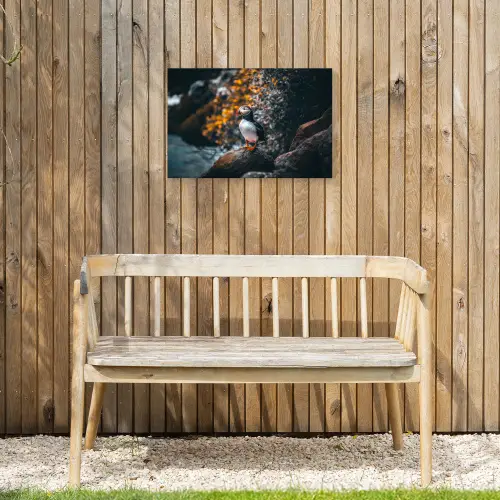Papegaai - Vogel - Rots - Wit Tuinposter op houten frame 2 cm dik klein -sfeer4