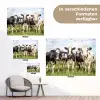 Nieuwsgierige koeien in de wei tuinposter los doek klein -Xsfeer9_DE