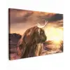 Schotse hooglander - Zon - Horizon - Koe - Dieren canvas 2cm klein -z3d