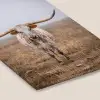 Longhorn - Grasveld - Dier fotolijst zwart zonder passe partout klein -zsfeer6