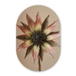 Droogbloem - Protea - Vintage - Beige - Rustiek Wandcirkel Ovaal Forex klein -3d