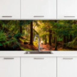Bos - Pad - Bomen - Groen - Zon - Natuur keuken achterwand 2 middel -3d