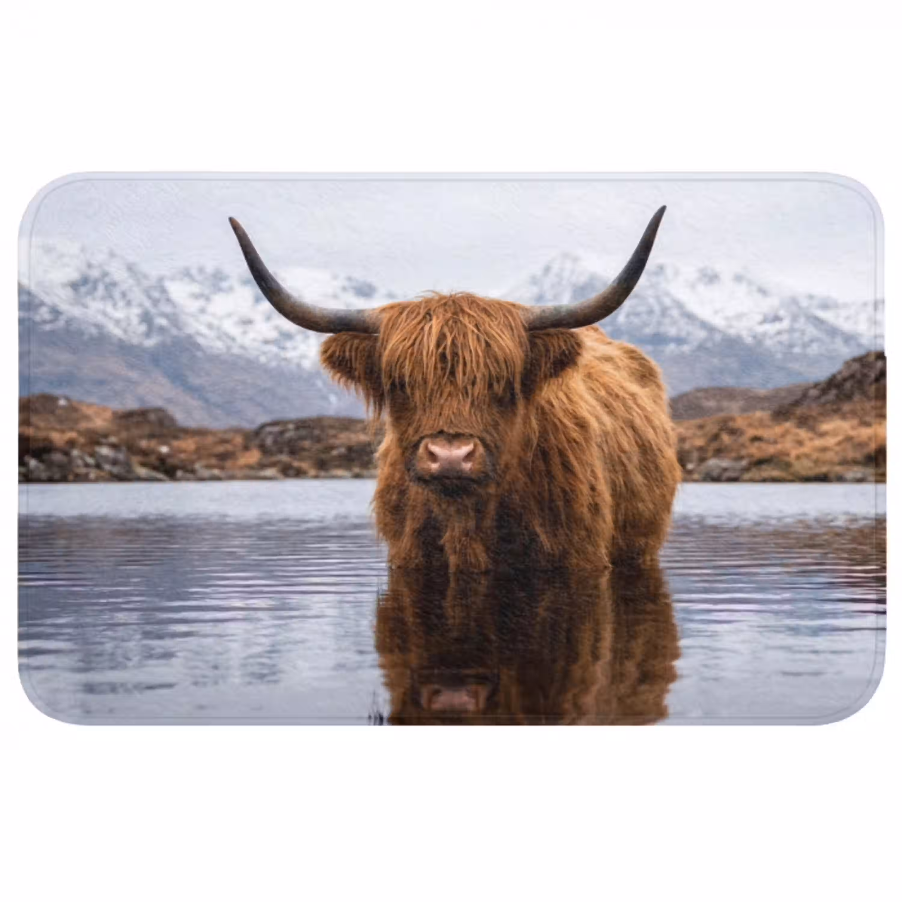 Schotse hooglander - Bruin - Water Badmat middel -3d