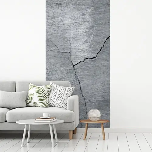 Beton - Grijs - Scheur fotobehang vinyl groot -woonkamer