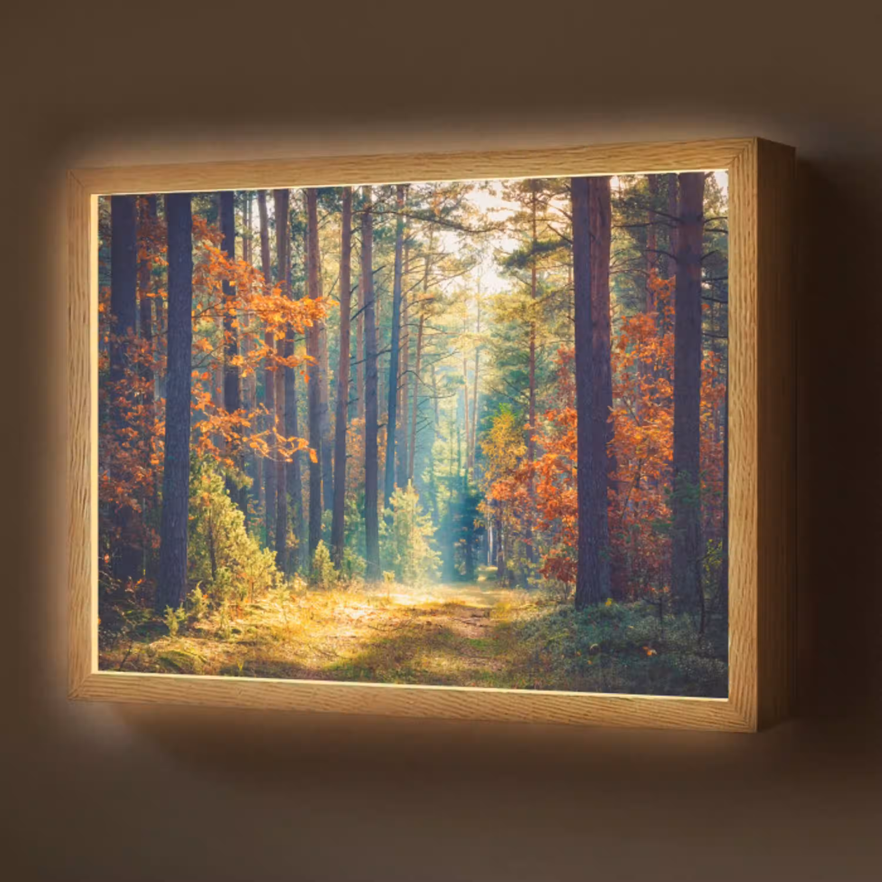 Bos - Zon - Natuur - Herfst Light Box met batterij (Wandlamp) middel -z3d_website