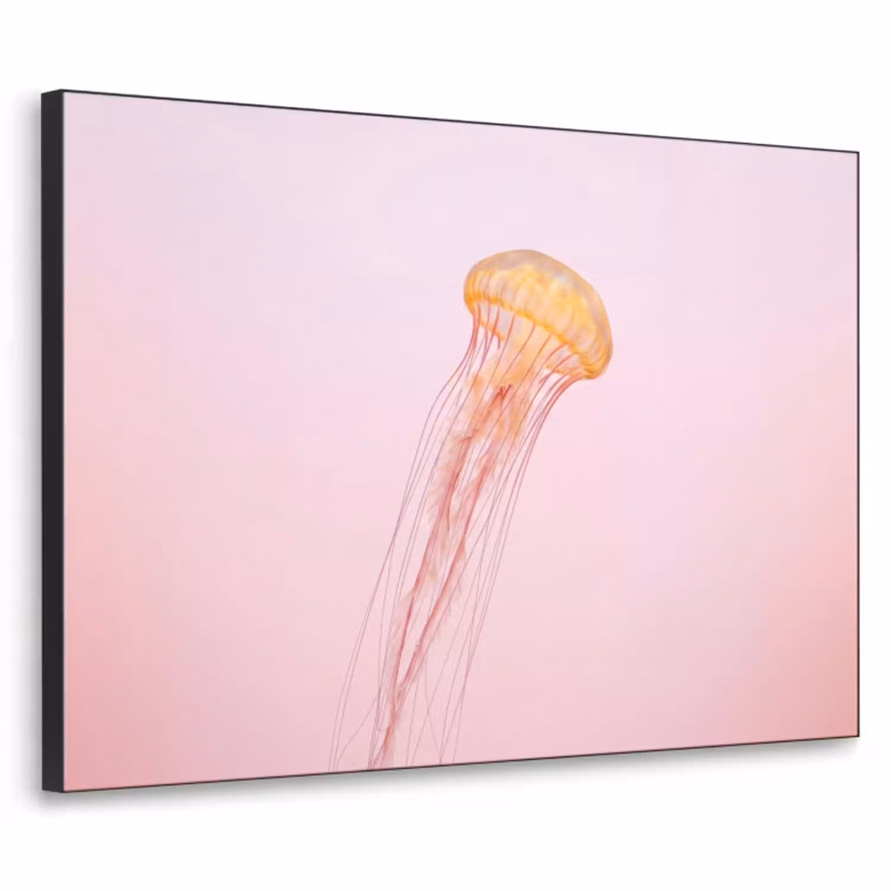 Sierlijk - Kwal - Roze Textielframe zwart klein -3d