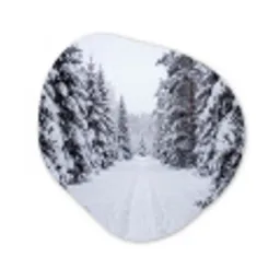 Bos - Winter - Sneeuw - Pad - Natuur Wandcirkel Organisch Aluminium middel -3d