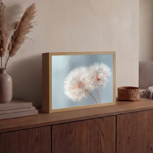 Paardenbloemen - Pluisjes - Wit Light Box met batterij (Wandlamp) middel -sfeer2