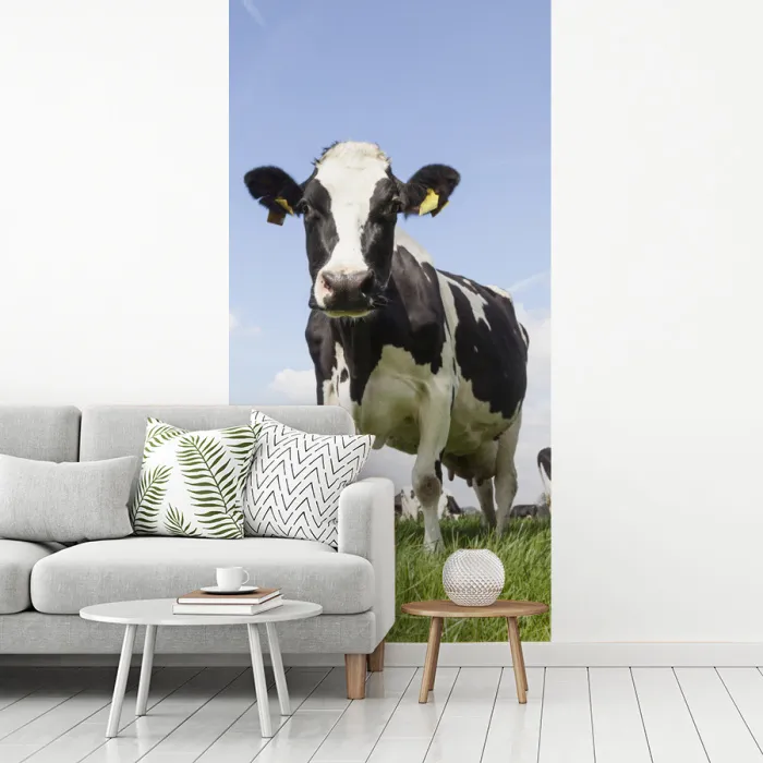 Koeien - Gras - Dieren - Zon - Boerderij fotobehang vinyl groot -woonkamer