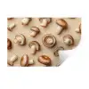 Kastanje Champignons - Beige Muursticker klein -3d