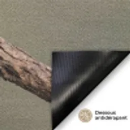 Papagaai - Tak - Natuur - Kleurrijk Deurmat klein -antislip_FR
